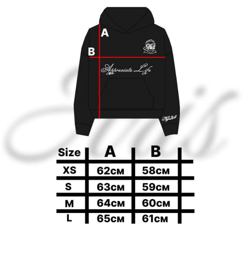 ARIS2WRLD x NGVOI24 HOODIE